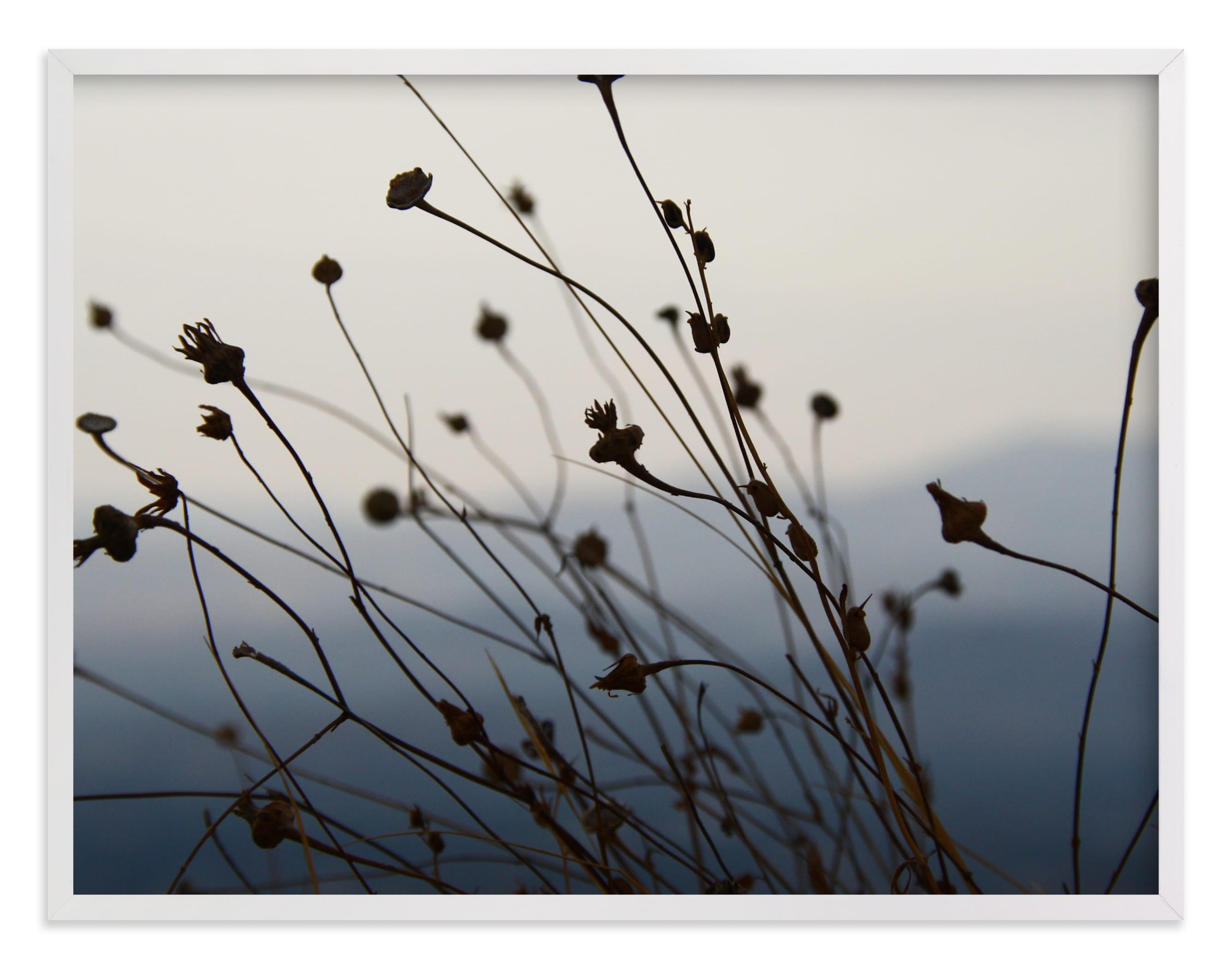 Sway Limited Edition Fine Art Print 1 - Image 0