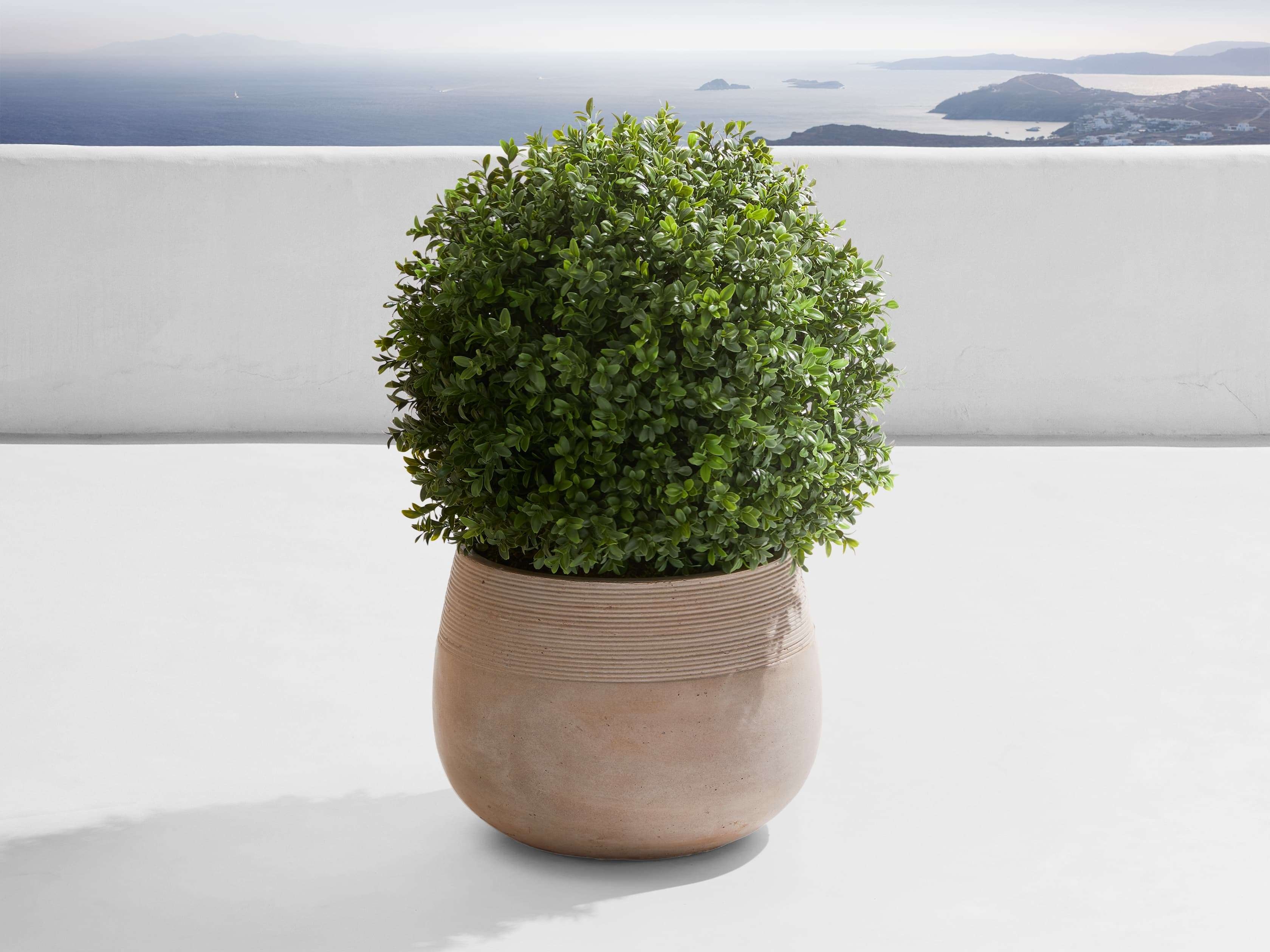 Boxwood Small Ribbed Planter in Gray - Image 0