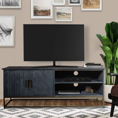 53 Inches Plank Design 2 Door Mango Wood TV Media Cabinet With Metal Base, Gray - Image 0