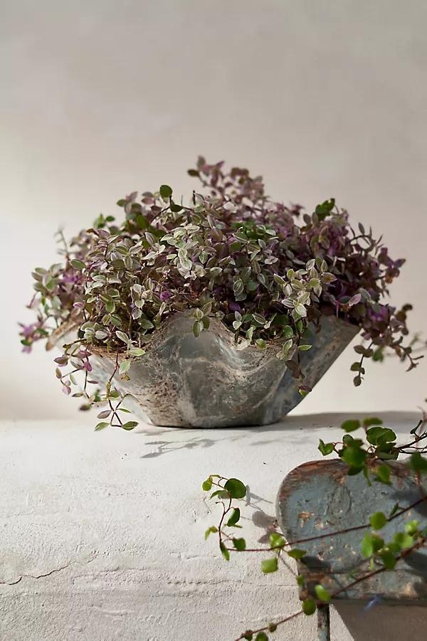 Iron Handkerchief Planter - Image 0