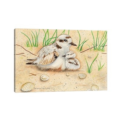 Snowy Plover Mom and Chick by Christine Reichow - Wrapped Canvas Painting Print - Image 0