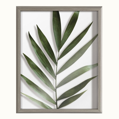 Botanical 5F by Uniek - Floater Frame Print on Glass - Image 0