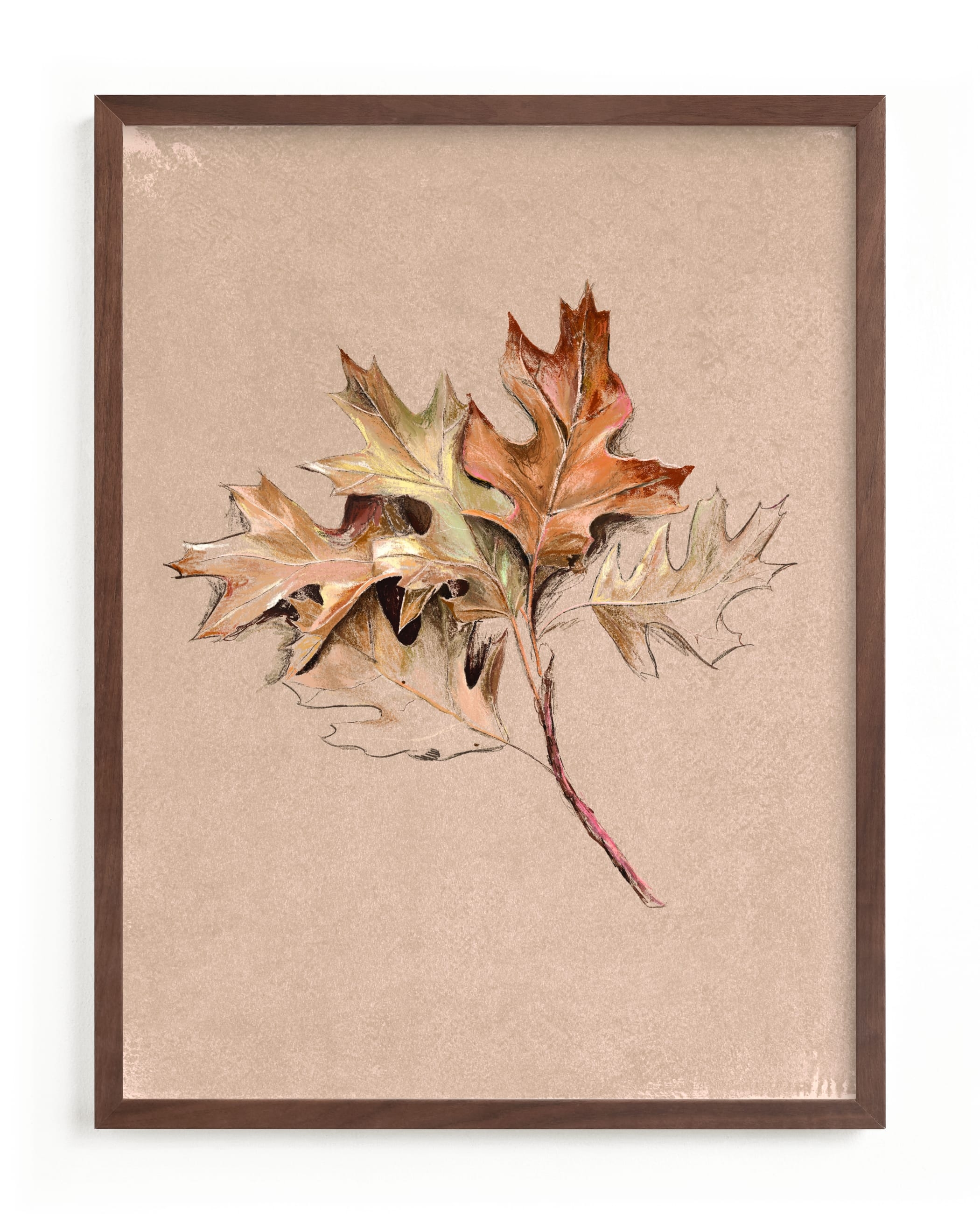 Leaf Study Limited Edition Fine Art Print 2 - Image 0