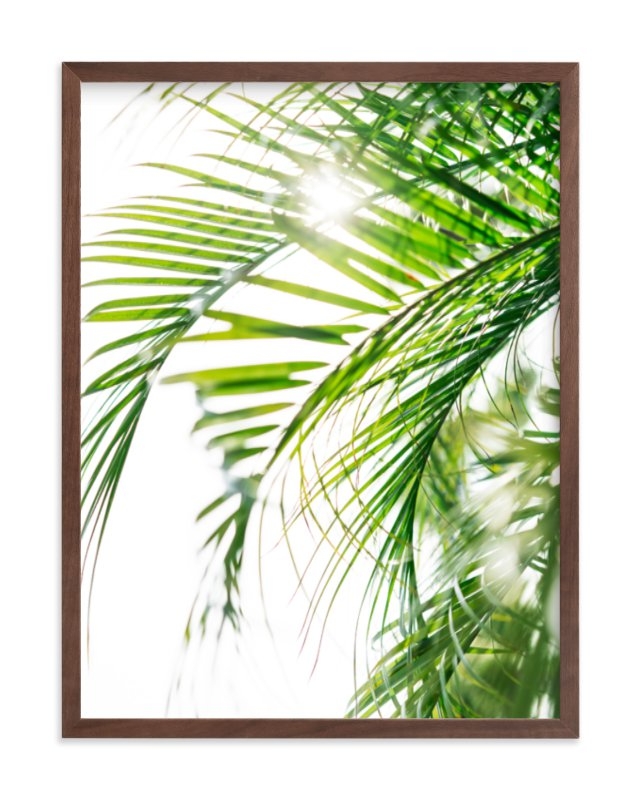 Palm 3 Limited Edition Fine Art Print 1 - Image 0