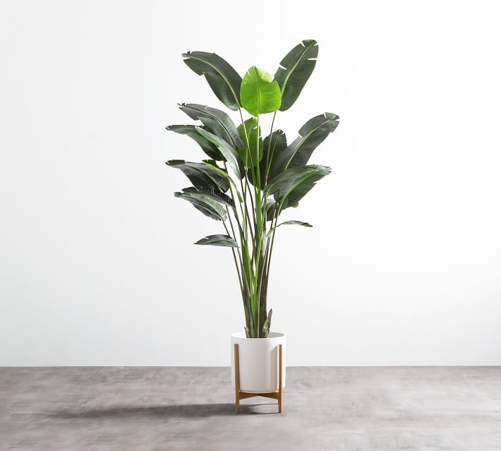 Faux Bird Of Paradise Plant With 12 Leaves, 6.25' - Image 2
