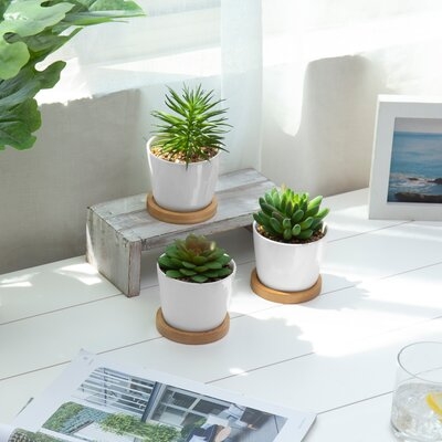 3 - Piece Artificial Succulent Plant in Pot Set - Image 0