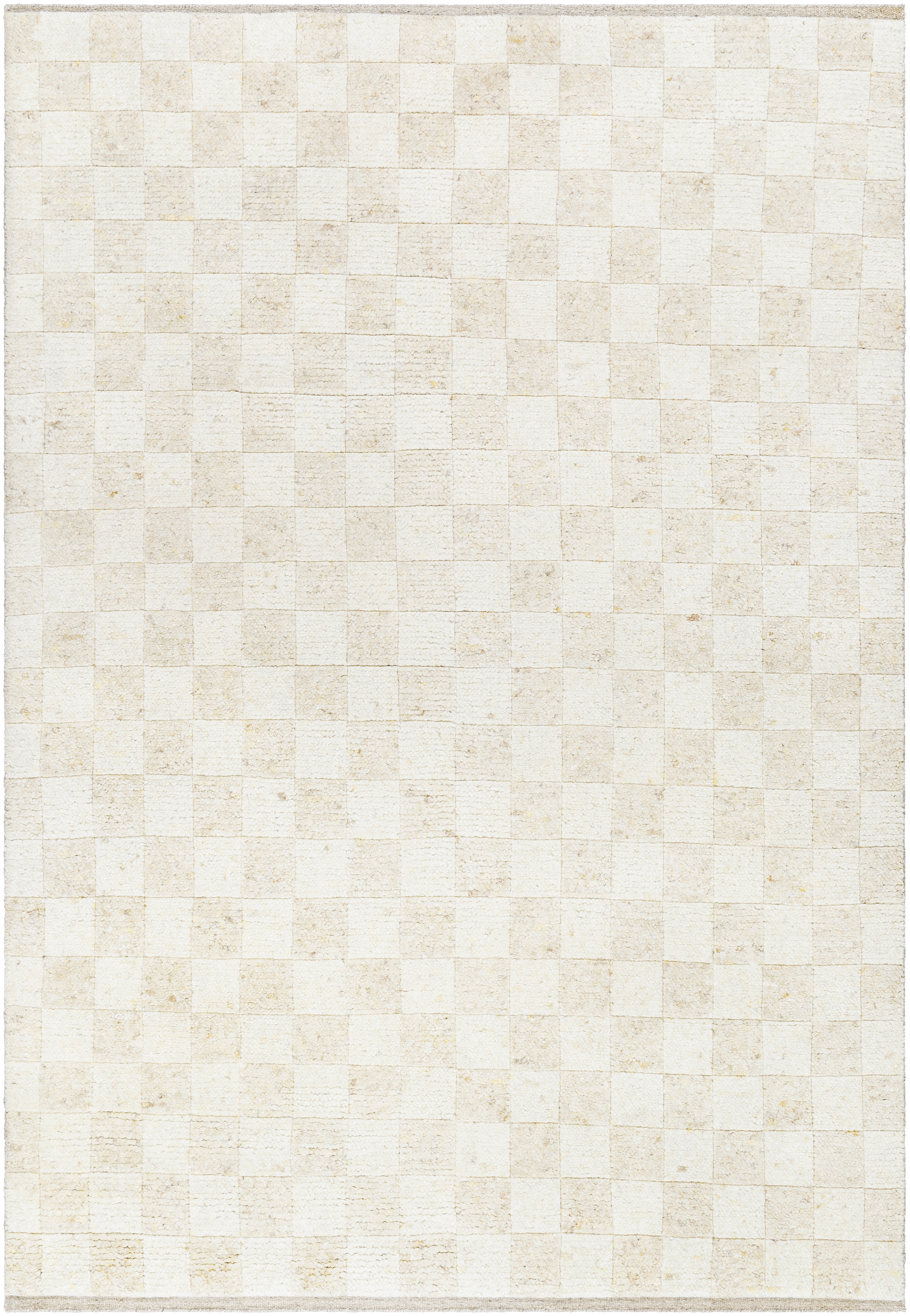 Davey Beige Indoor 10' x 14' Handmade Rug - Image 0