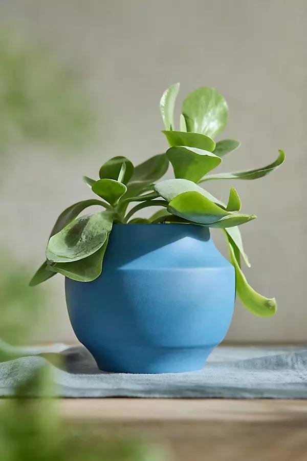 Nia Ceramic Planter - Image 0