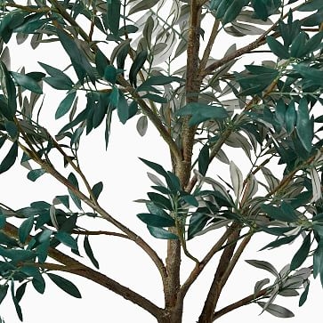 Olive Tree 7' & Medium Fluted Ceramic Planter Bundle - Image 3