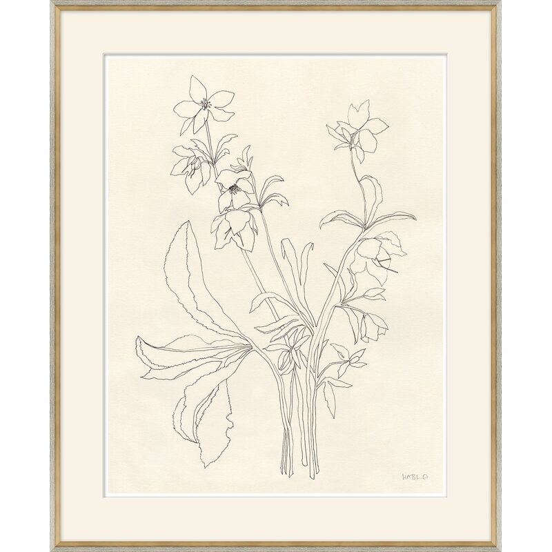 Soicher Marin Helebore Study I by Susan Hable - Picture Frame Drawing Print on Paper - Image 0