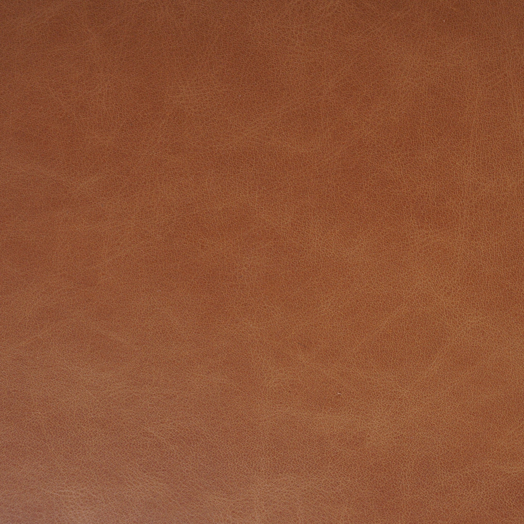 Tamari Dining Chair - Sonoma Chestnut - Image 3