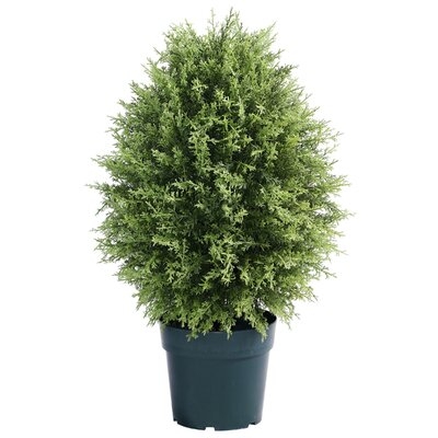 17.5" Artificial Cypress Plant in Pot - Image 0