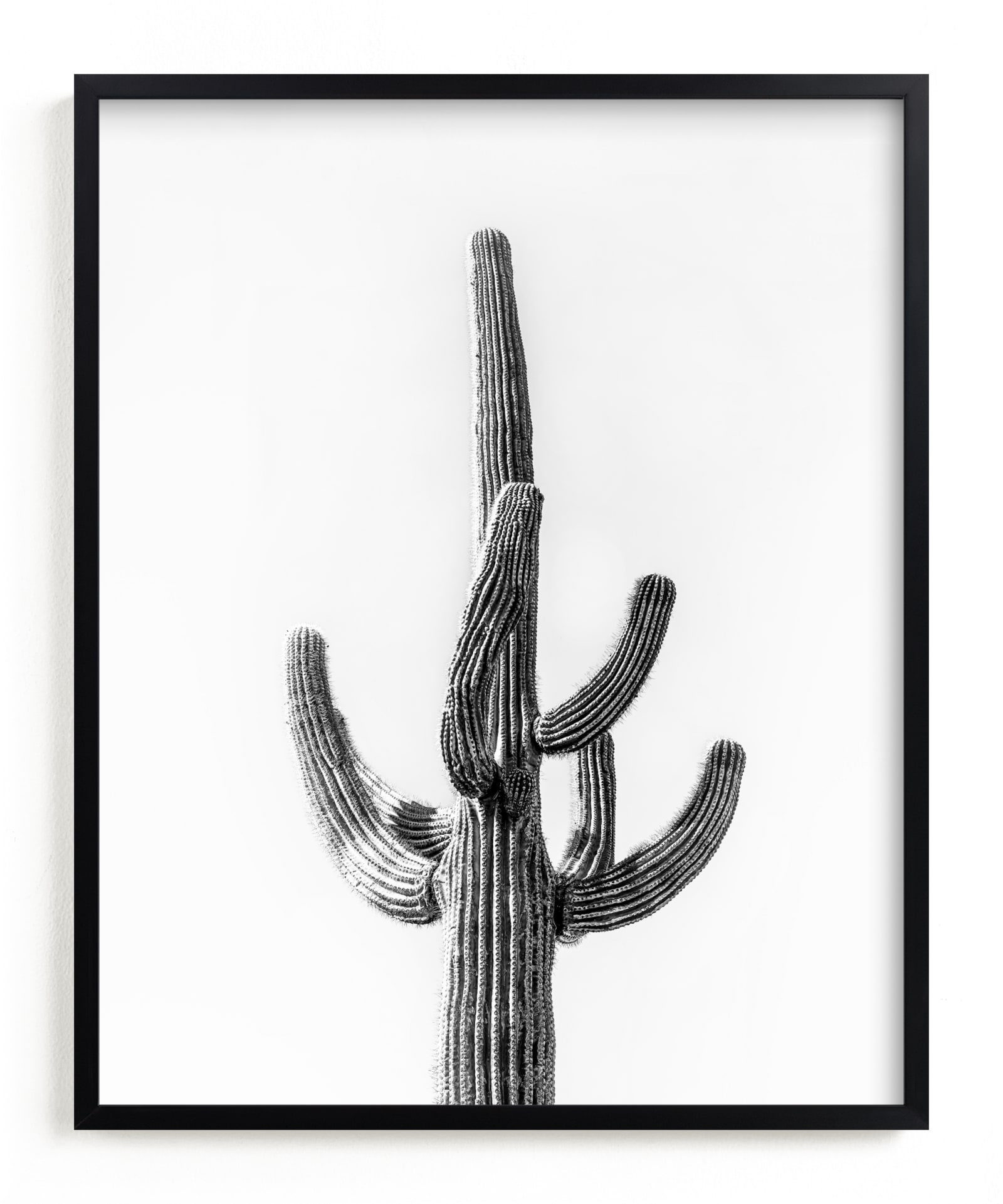 Lone Cactus Limited Edition Fine Art Print 2 - Image 0