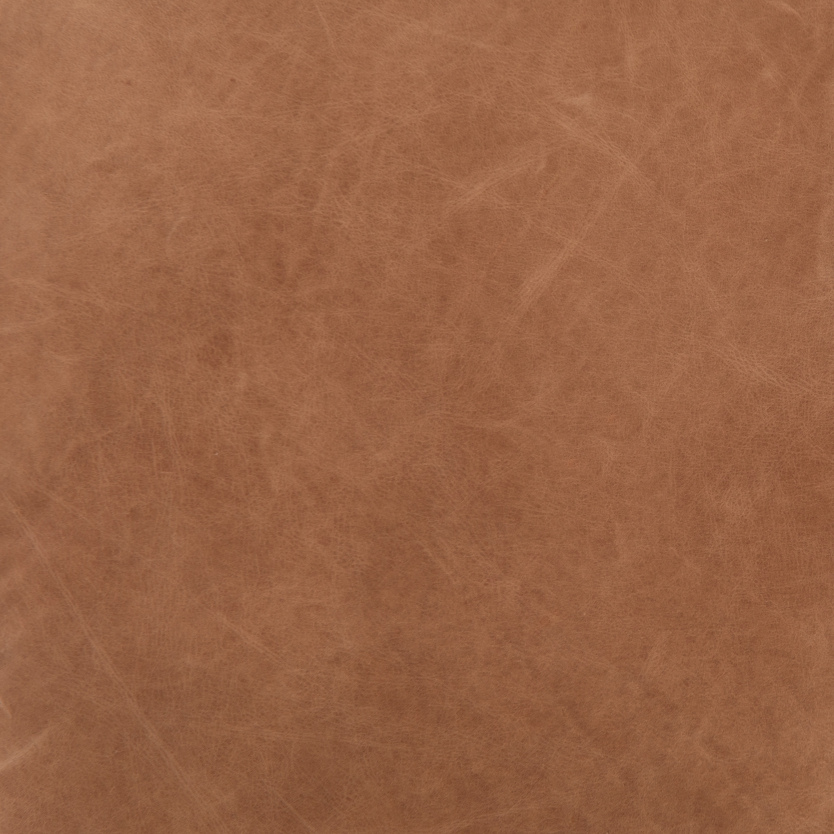 Taryn Chair - Chaps Saddle - Image 6