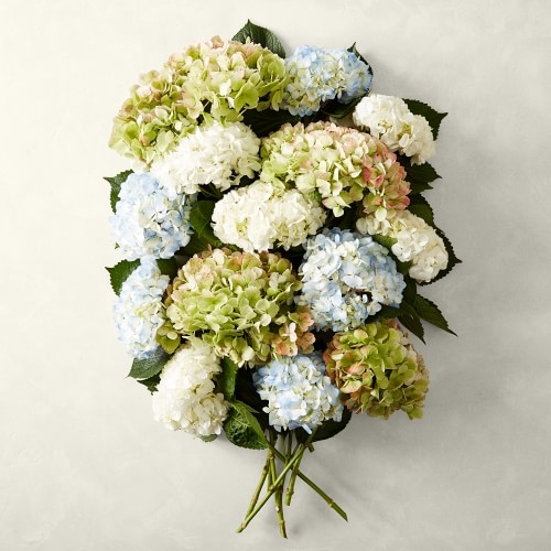 Fresh Mixed Hydrangea Bunches, 14 Stems - Image 0