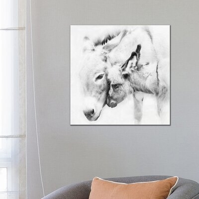 Donkey Portrait III by PHBurchett - Wrapped Canvas Photograph Print - Image 0