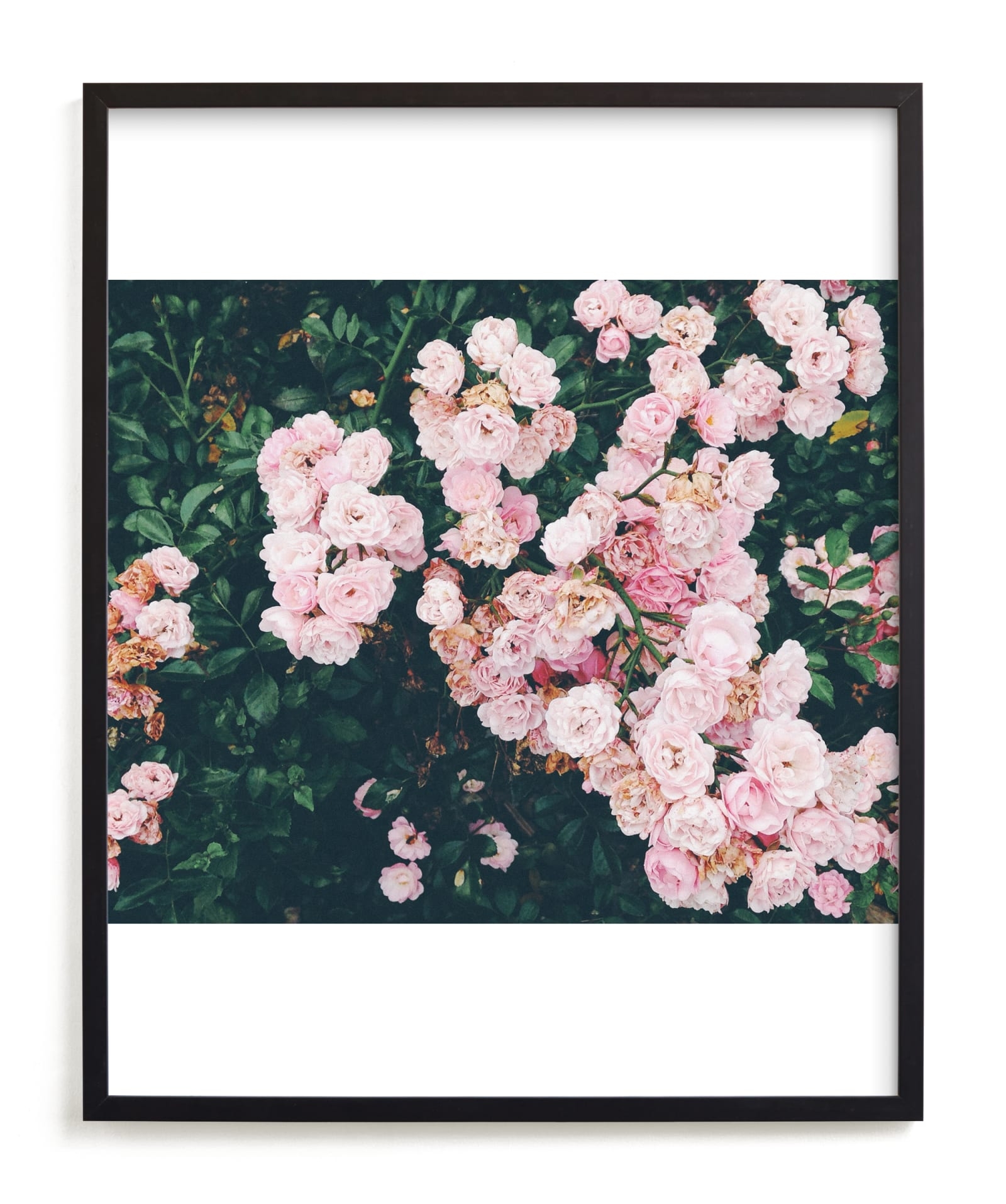 Shining Statement Limited Edition Fine Art Print 2 - Image 0