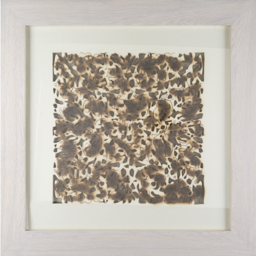 Daintree DNT-8000 40"H x 40"W Framed Art - Image 0