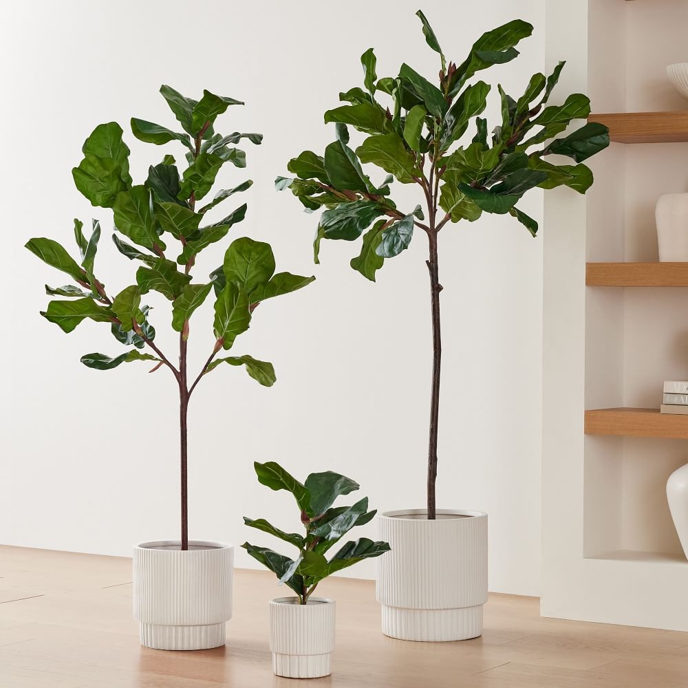 Faux Potted Fiddle Leaf Fig Trees - Plant and Planter Set 5' - Image 0