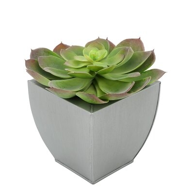 2'' Artificial Succulent in Pot - Image 0