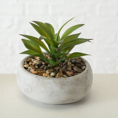 Faux Succulents in Stone Pots, Set of 3 - Image 2