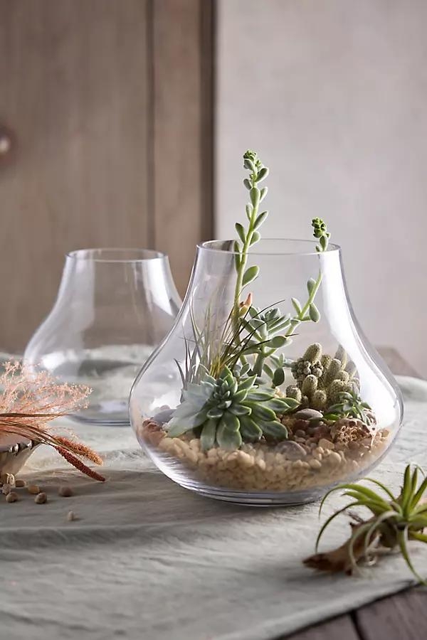 Glass Bell Terrarium - Image 0