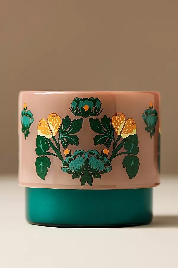 Olivia Woody White Cedar & Thyme Glass Candle - Image 0