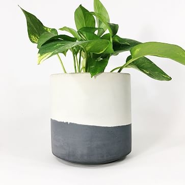 Straight-Sided Concrete Pot, Small, Dark Gray - Image 3