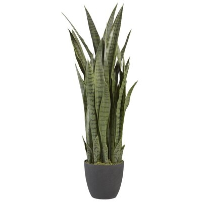 Faux Snake Plant in Planter 48" - Image 0
