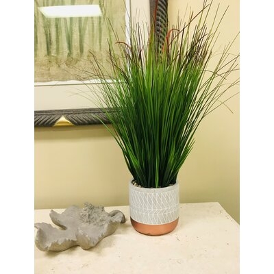 19.5" Artificial Onion Grass in Pot - Image 0