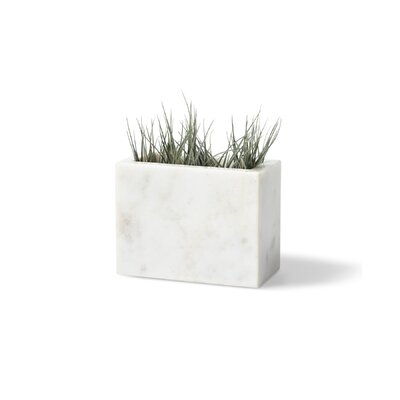 Citrine White Indoor/Outdoor Stoneware Table Vase - Image 0