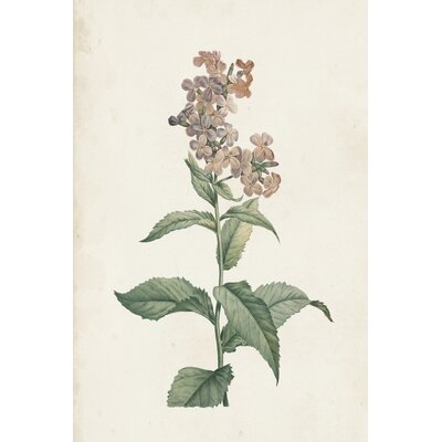 Classic Botanicals II - Image 0