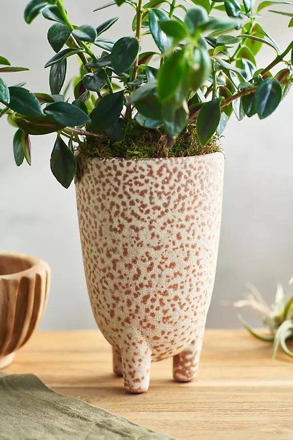 Footed Speckle Terracotta Planter - Image 0
