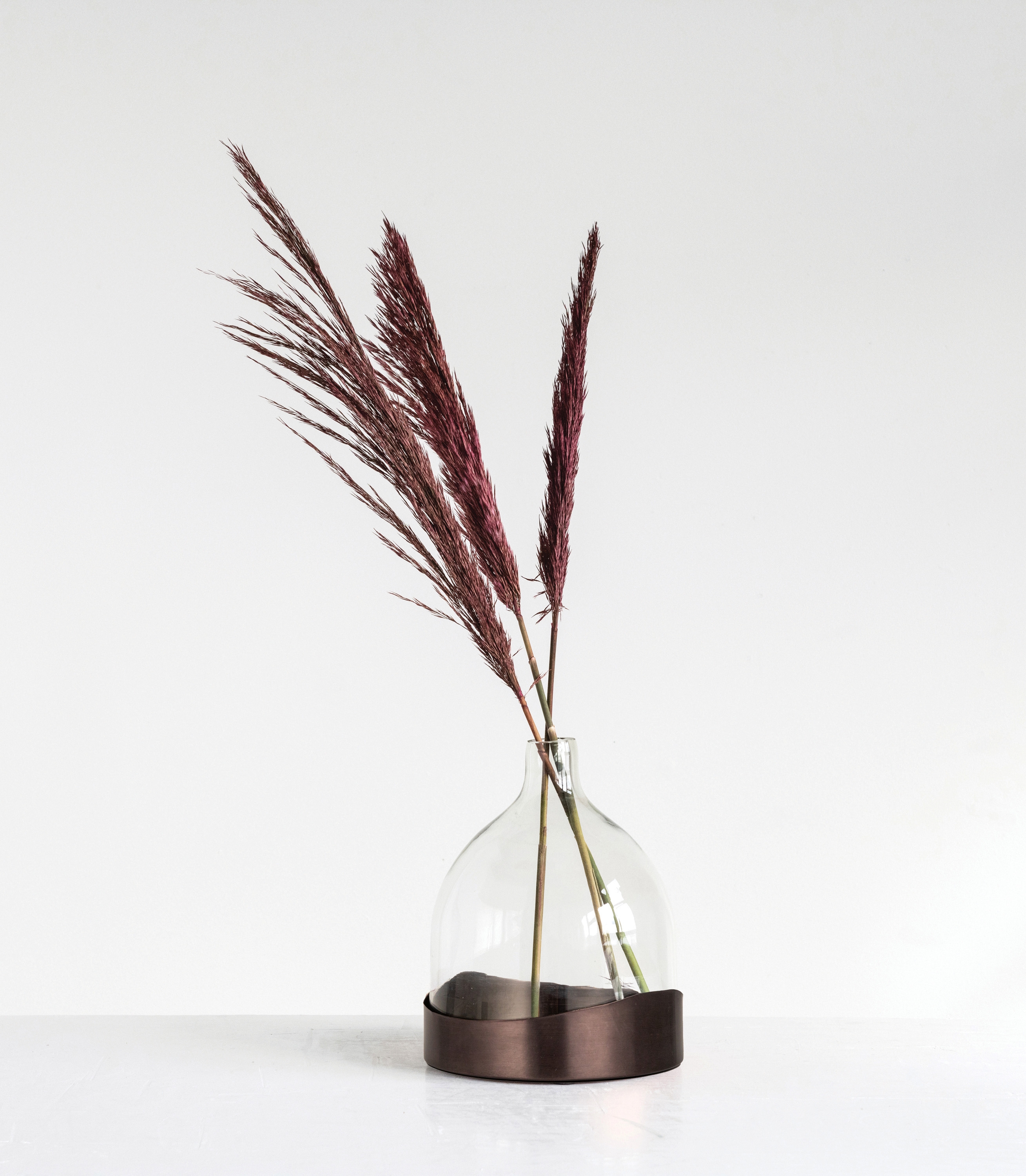 Sophisticated Glass Cloche with Metal Tray, Clear and Black Nickel - Image 0