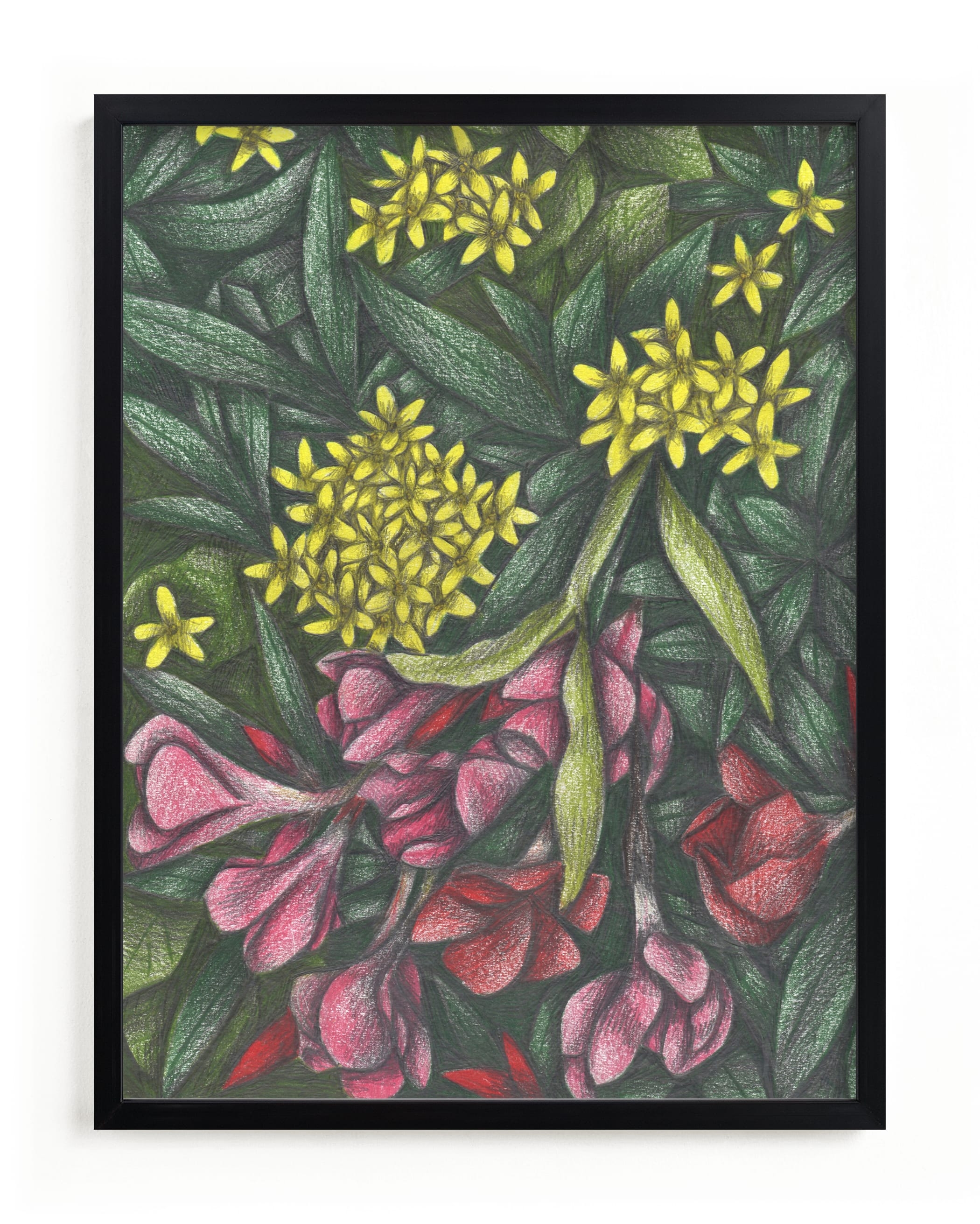 Mediterranean Bush Limited Edition Fine Art Print 2 - Image 0