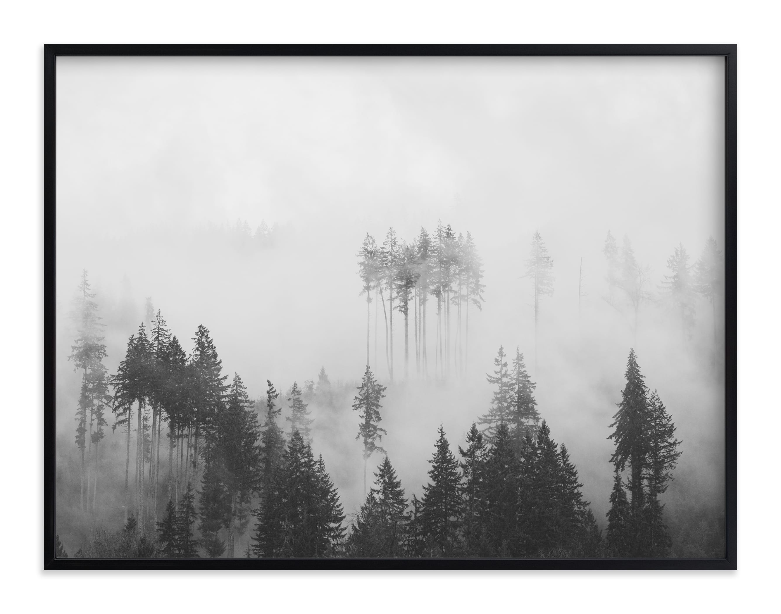 Morning Fog Limited Edition Art Print - Image 0