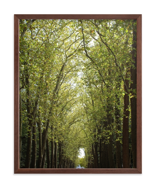 Canopy Of Trees Limited Edition Fine Art Print 1 - Image 0