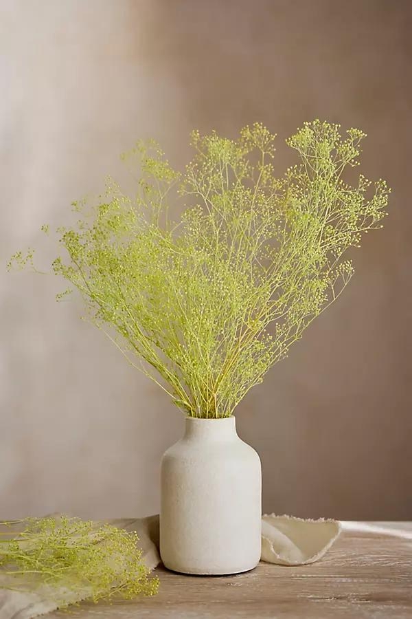 Preserved Gypsophila Bunch - Image 0