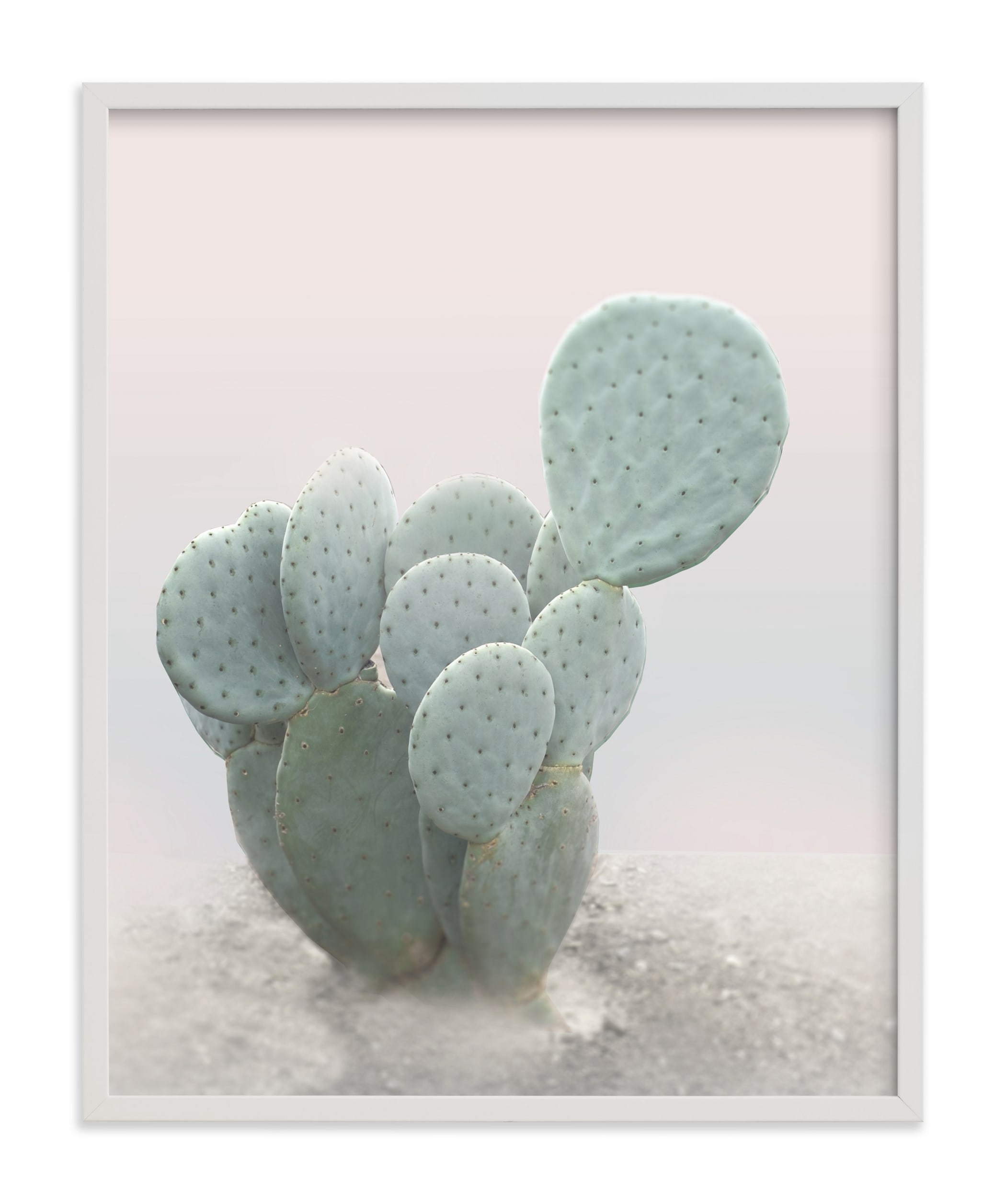 Little Cactus Limited Edition Fine Art Print - Image 0