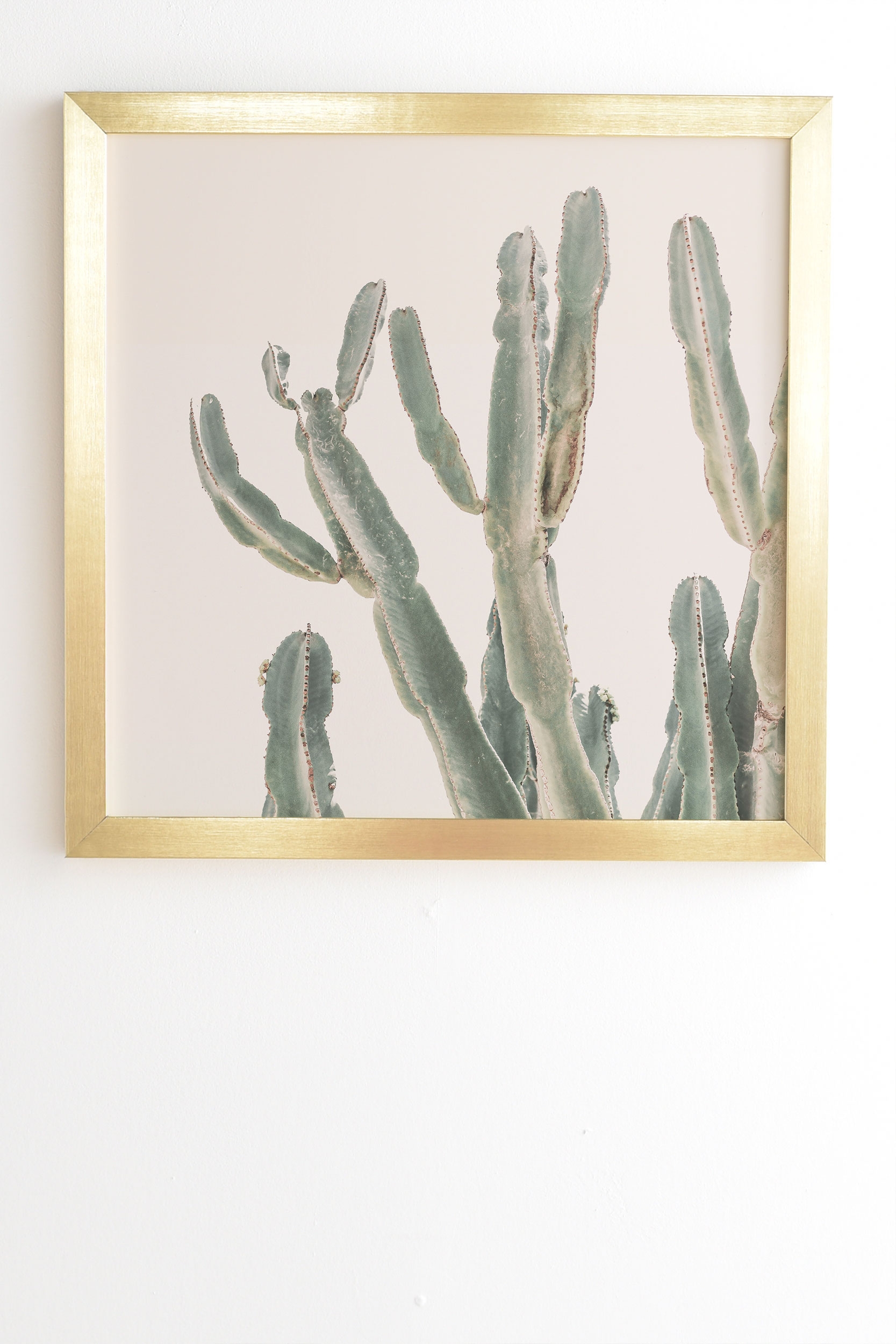 Sunrise Cactus by Sisi and Seb - Framed Wall Art Basic Gold 12" x 12" - Image 1