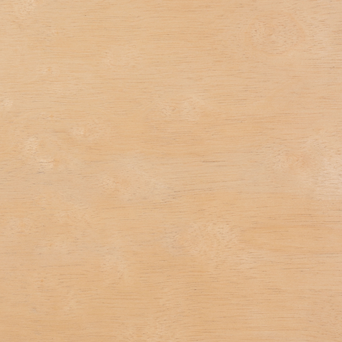 Thaxton Counter Stool - Natural - Safavieh - Image 4