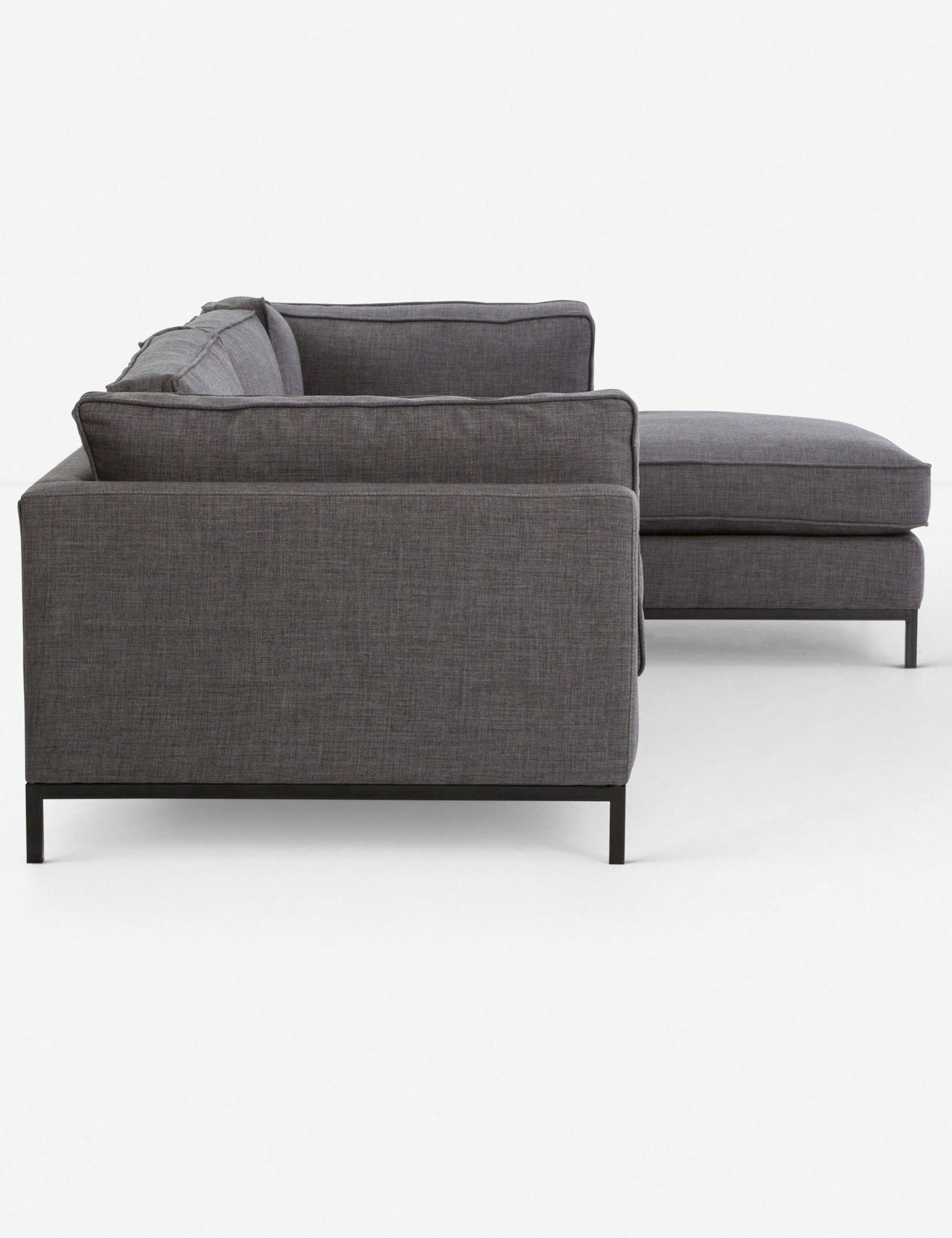 Fritzie Sectional Sofa - Image 6