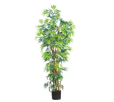 Faux Curved Bamboo Tree, 6' - Image 2