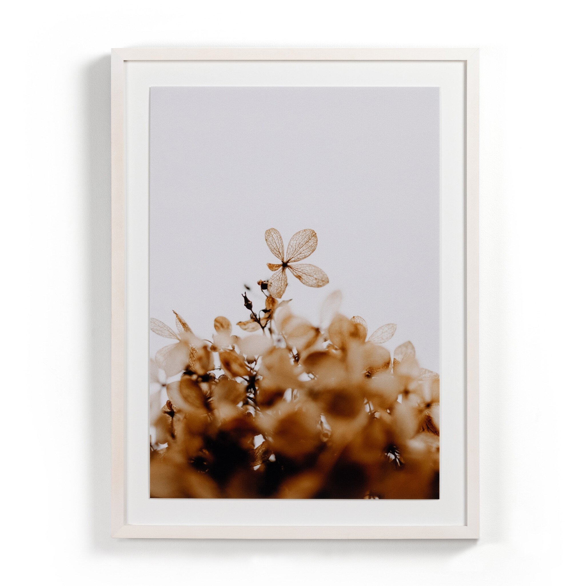 Greetings by Annie Spratt - White Washed 2.5 Maple - Image 0