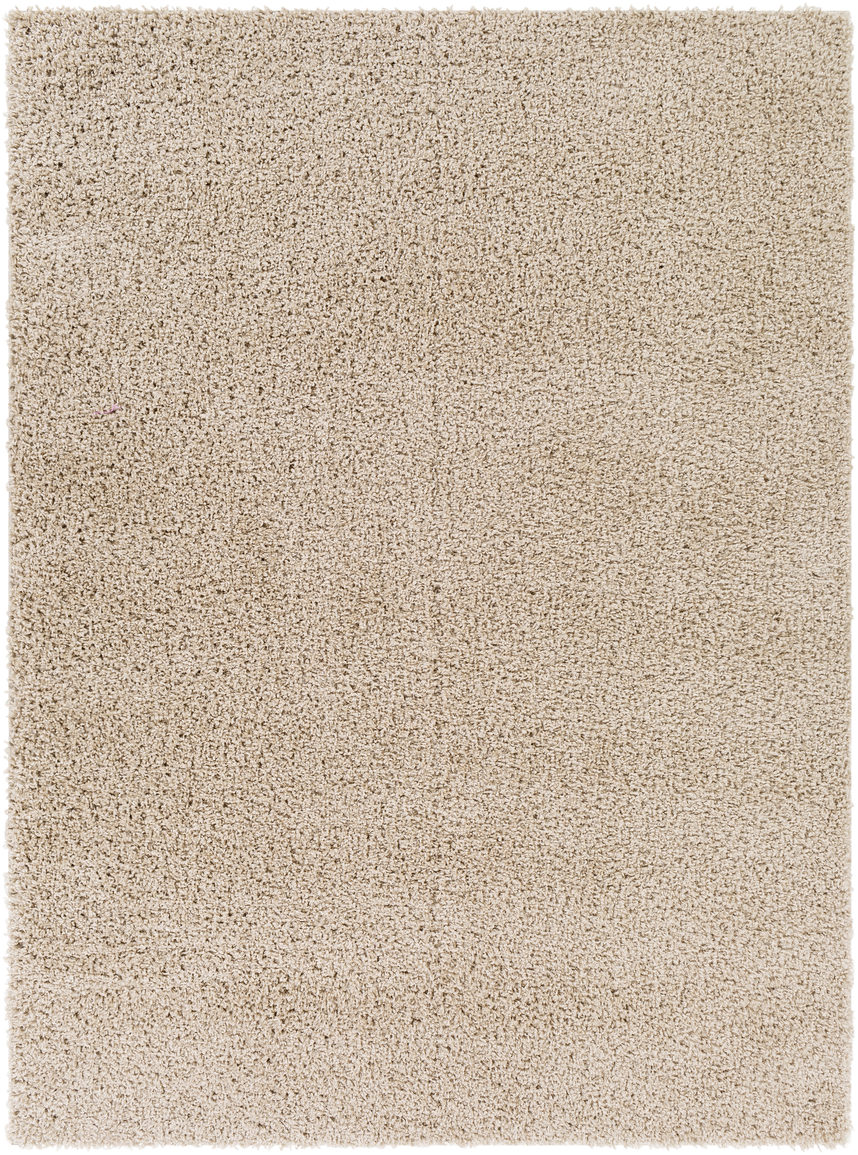 Bliss Shag Beige Indoor 2' x 3' Machine Woven Rug - Image 0