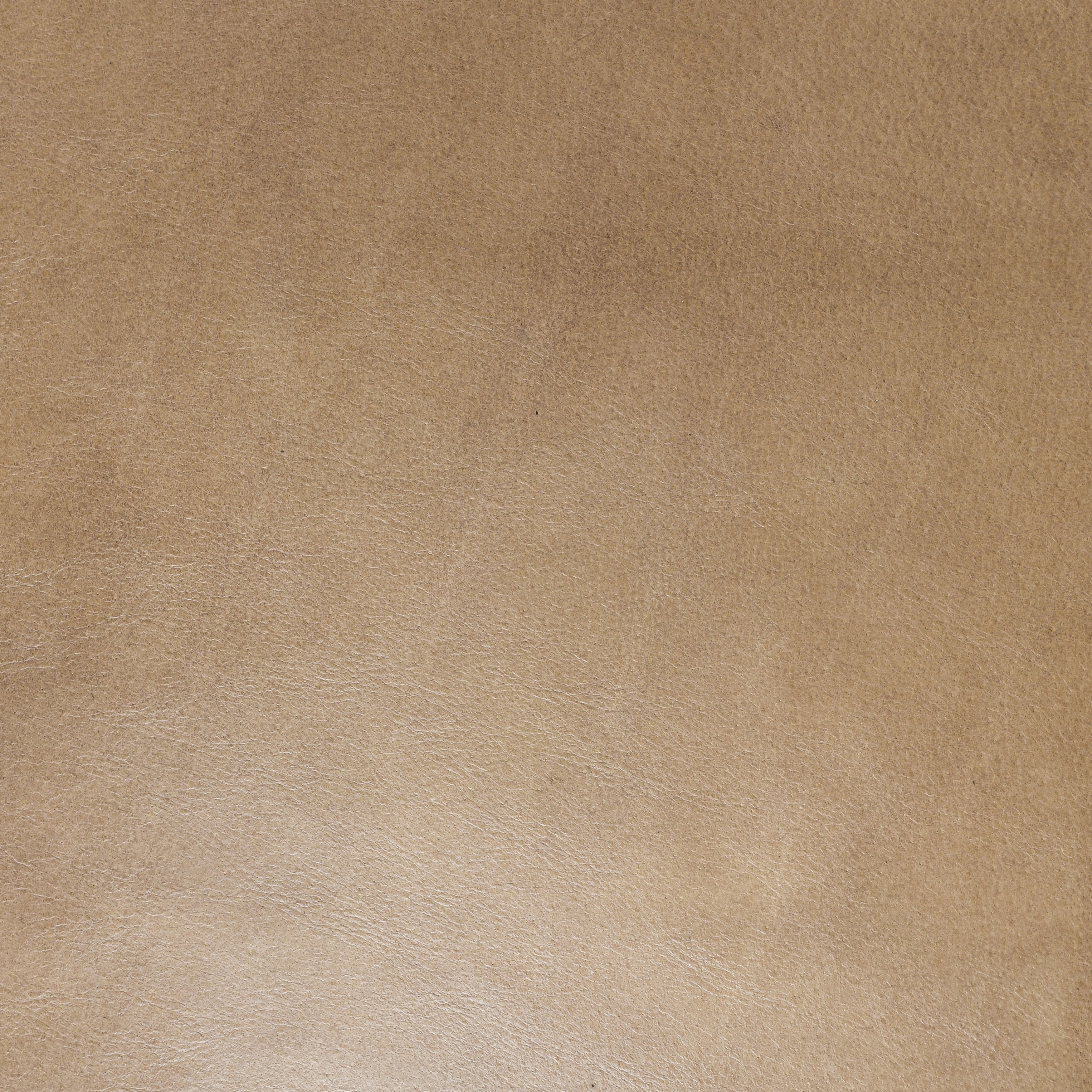 Fonda Dining Chair Tan - Image 9