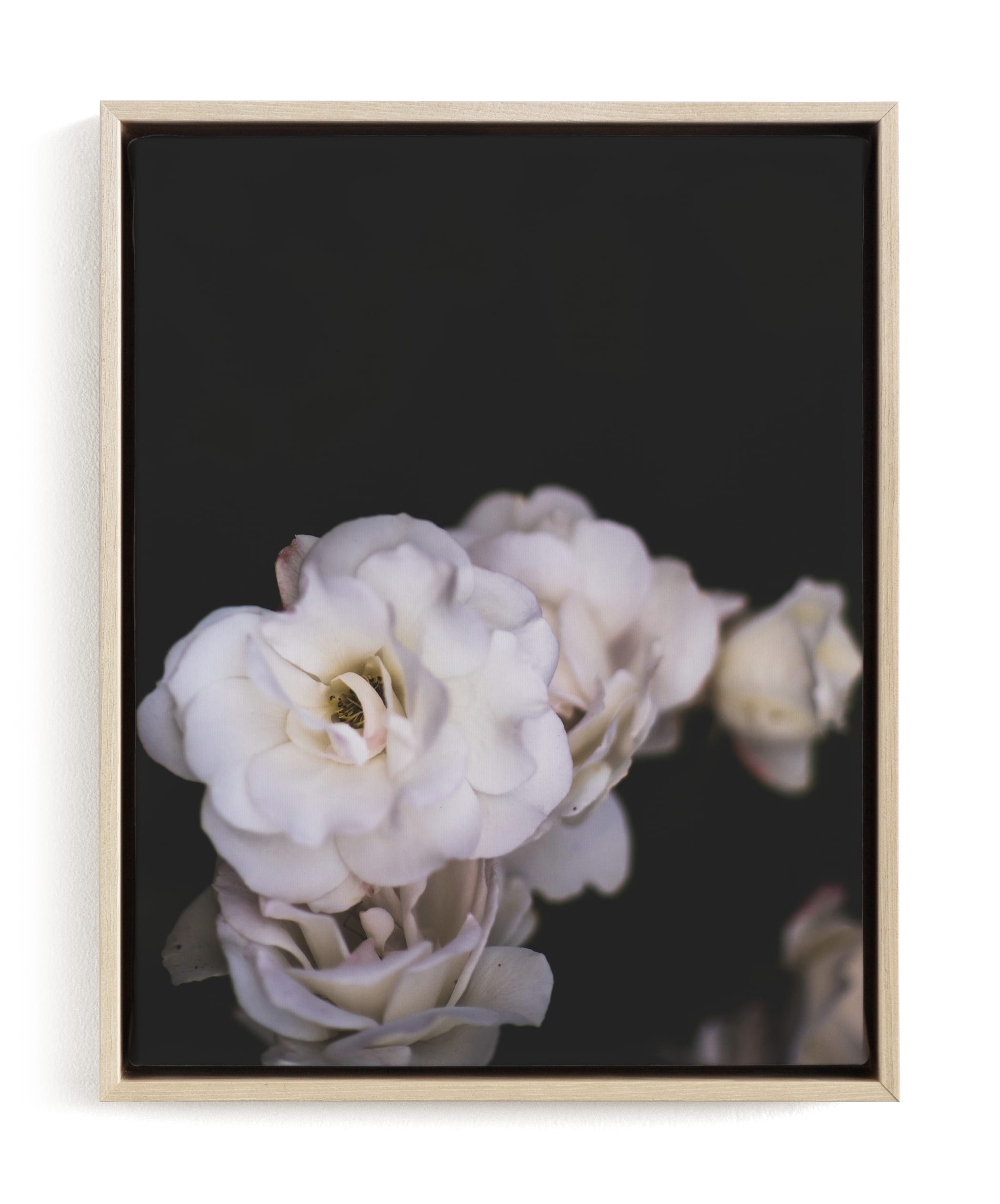 Midnight Bloom Limited Edition Fine Art Print 1 - Image 0