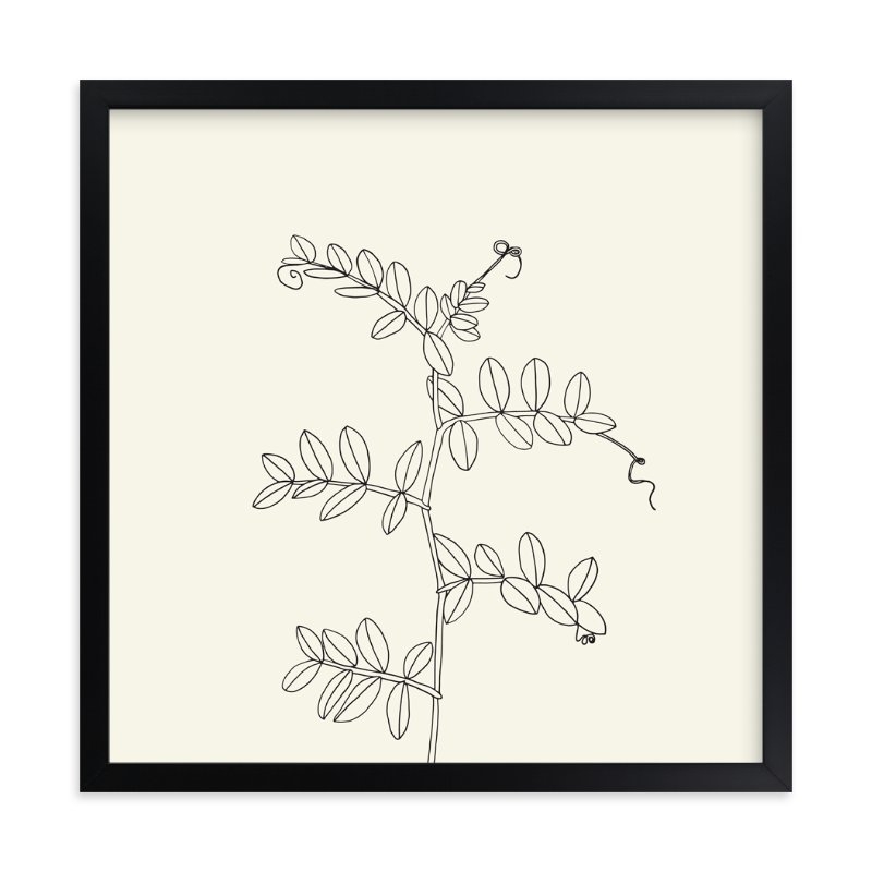 Wild Pea Limited Edition Fine Art Print 1 - Image 0