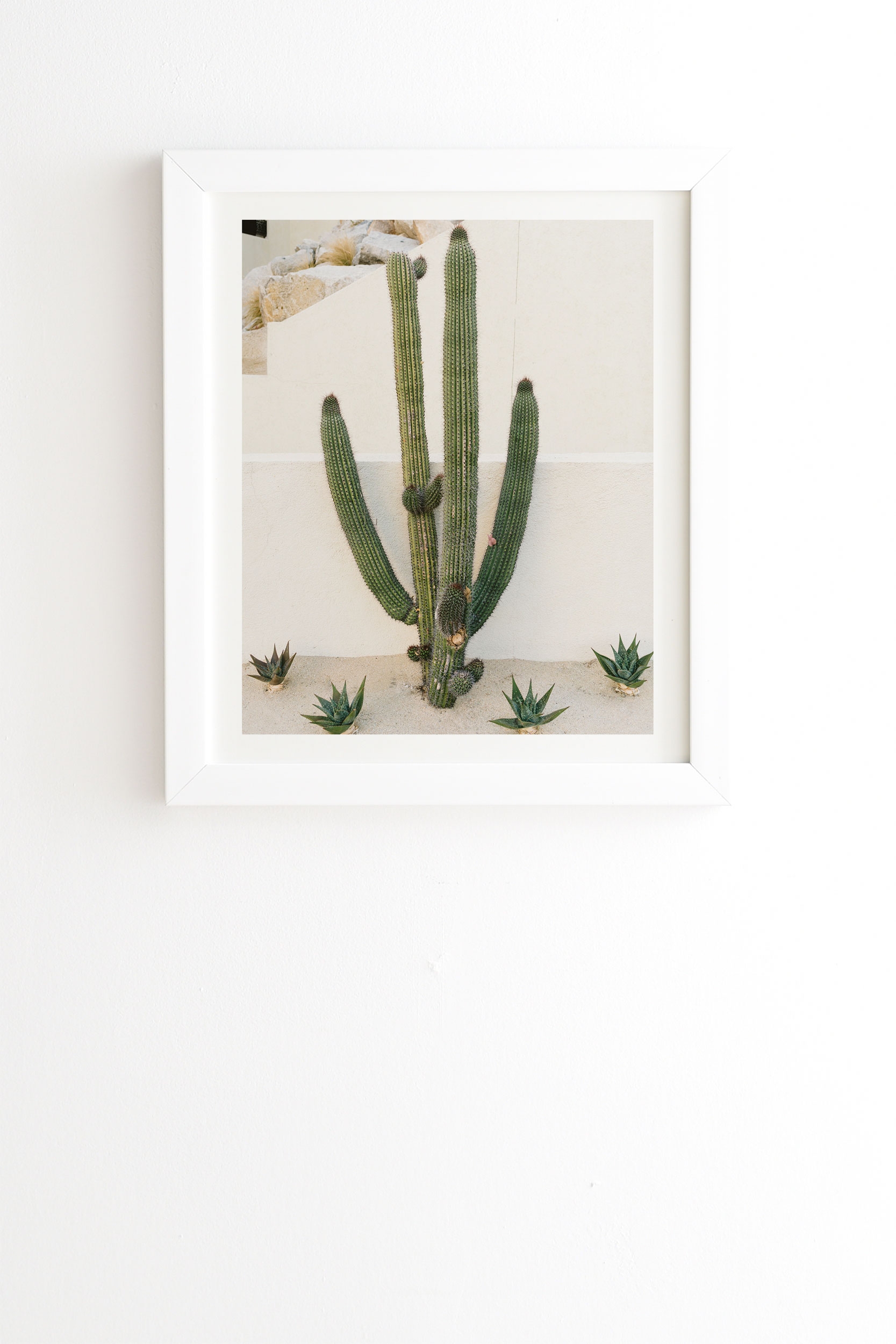 Cabo Cactus X by Bethany Young Photography - Framed Wall Art Basic White 30" x 30" - Image 1