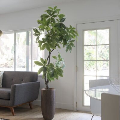 46.25" Real Touch Indoor/Outdoor Pachira Aquat Tree in Planter - Image 0